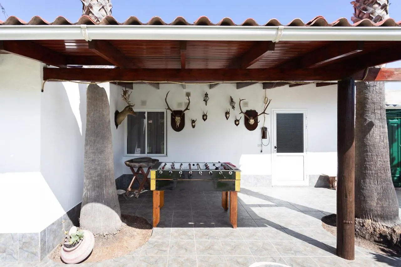Finca La Gaviota - Terazza Icod De Los Vinos España